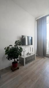 ブルノにあるCotton&Loft - Brno City Center Apartmentのリビングルーム(テレビ、鉢植え付)