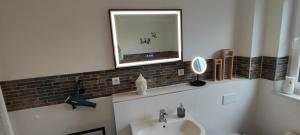 a bathroom with a sink and a mirror at Landhaus Eifelliebe in Wallersheim +20 photos