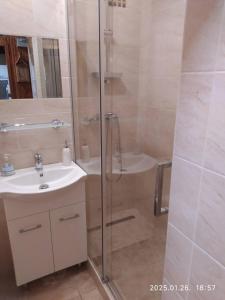 a bathroom with a shower and a sink at 4 turtles apartman in Budapest