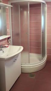 a bathroom with a shower and a white sink at House Marie?s Lavander Dream in Raslina