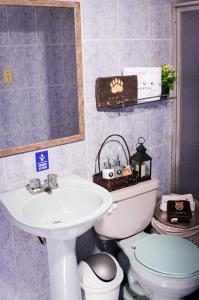 Fotografie z fotogalerie ubytování UKUKU Hostel v destinaci Quito