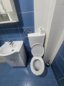 Koupelna v ubytování Apartman daba 1 + 6 fotografií