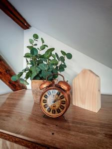 Imagem da galeria de Guest House Relić em Sombor
