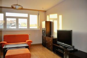 Televízia a/alebo spoločenská miestnosť v ubytovaní Cozy 1 bed top floor apartment in the Old town Bratislava