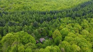 FeleacuZADA nature lounge的森林中房屋的鸟瞰图