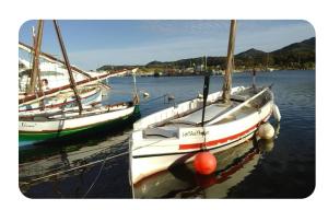 Příroda nedaleko penzionu