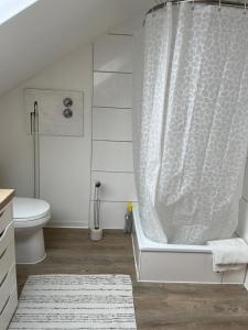 ein Bad mit einem Duschvorhang und einem WC in der Unterkunft Serene Loft Retreat in Münster