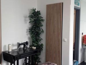 Kuchyň nebo kuchyňský kout v ubytování Casa do Sol