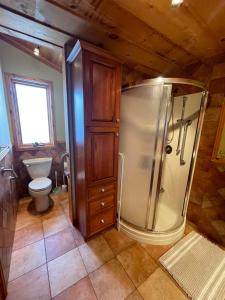 a bathroom with a shower and a toilet at Entre Pierre et Bois, couette et café in Lac-Superieur +10 photos