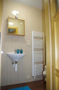 bagno con lavandino, specchio e servizi igienici di Apartment Baťův Domek a Malá Morávka