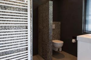 a bathroom with a toilet and a black wall at Bed and Breakfast De Reggestee in Hellendoorn