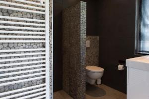bagno con servizi igienici e parete nera. di Bed and Breakfast De Reggestee a Hellendoorn