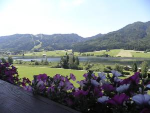 Paesaggio naturale nelle vicinanze dell'hotel