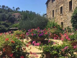 Κήπος έξω από το Italianway - The Grapefruit House - Villa con piscina