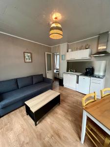 salon z niebieską kanapą i kuchnią w obiekcie Escale en Ville Appart entier T2 centre ville de Cherbourg w mieście Cherbourg en Cotentin