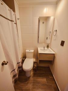 a small bathroom with a toilet and a sink at Confort de Ñuñoa in Santiago