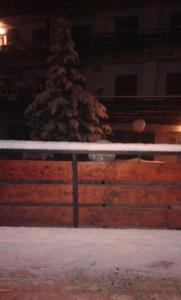 a snow covered christmas tree in front of a fence at Luna Reale Roccaraso apt in Roccaraso