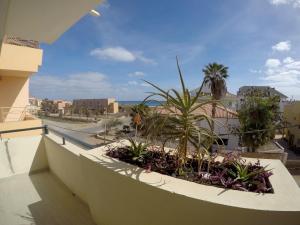 Un balcón con plantas y vistas al océano. en Surf House Cabo Verde, en Santa Maria