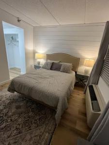 a bedroom with a bed and two lamps and a tv at Bears Abound in Gatlinburg