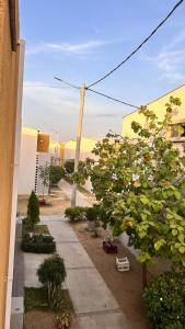 Zahrada ubytování Apartamentos Mema
