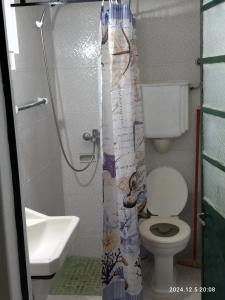 a bathroom with a shower with a toilet and a sink at Casa ilusión in Artilleros