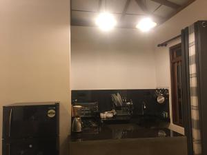 Kuchyň nebo kuchyňský kout v ubytování Lotus view Apartment