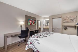 Voodi või voodid majutusasutuse Red Roof Inn Parsippany toas