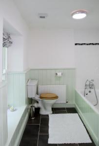 a bathroom with a toilet and a tub and a sink at Bronfelin & Troed-y-Rhiw Holiday Cottage in Llanwrtyd Wells