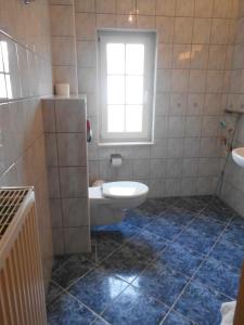 a bathroom with a toilet and a window at Ferienwohnungen Charlottenhof in Zechlinerhütte +172 photos