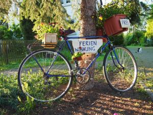 Una bicicleta estacionada junto a un árbol con un cartel. en Ferienwohnungen am Schwanenteich, en Mühlhausen