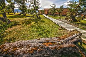 Gallery image of Pampa Lodge, Quincho & Caballos in Torres del Paine