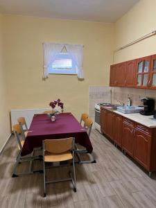 Kuchyň nebo kuchyňský kout v ubytování Helga Apartman