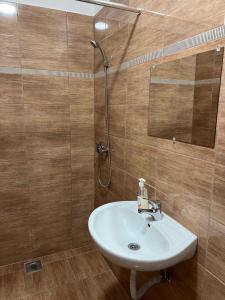 Koupelna v ubytování Helga Apartman + 37 fotografií