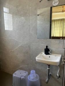 纳西克Anahat Host all Back Packer 2BHK 2 Bed AC的带水槽和镜子的浴室