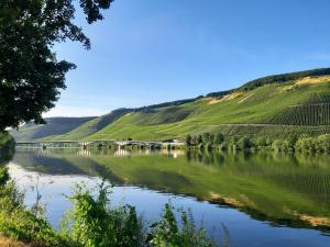 vista su un fiume con ponte e verdi colline di Ferienwohnung Moselnest a Longuich Altre 7 foto