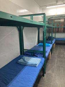 Postelja oz. postelje v sobi nastanitve Kung-fu Hostel 功夫旅舍