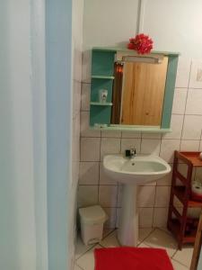 a bathroom with a sink and a mirror at Gite Oiseau du Paradis in Le Marin