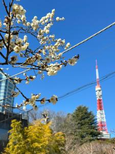 Fotografie z fotogalerie ubytování Rose Stay Tokyo Shiba Park v Tokiu