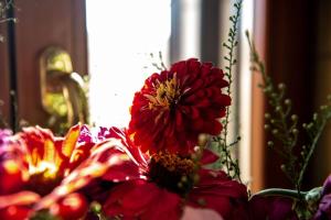 a bouquet of red flowers in a vase at Tenuta Ulivi in Putignano