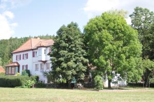 ein großes weißes Haus mit zwei Bäumen auf einem Feld in der Unterkunft Elsbach-Perle in Oberelsbach