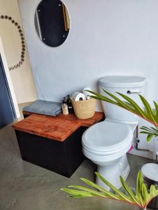 a bathroom with a toilet and a wooden counter at Quirky Bird in Cape Town +42 photos