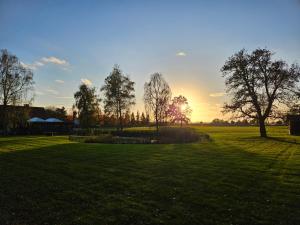 a sunset in a field with trees and grass at Colliemolenhoeve  +9 photos