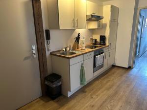 Kuchyň nebo kuchyňský kout v ubytování Brauberger´s Ferienwohnung