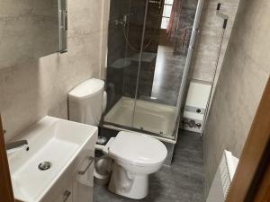 a bathroom with a toilet and a shower and a sink at Hasselhäuser Hasselhaus 4 in Hasselfelde +18 photos