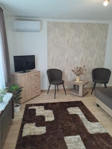 salon z telewizorem, 2 krzesłami i dywanem w obiekcie Katarina apartman w Hajduszoboszlo