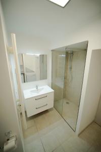 a bathroom with a white sink and a shower at Hermine appartement 4 personnes in Vroncourt