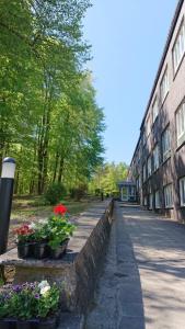 Ein Garten an der Unterkunft Seminarhaus Europäische Akademie