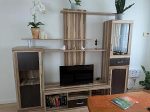 a living room with a tv in a wooden entertainment center at Ferienwohnung August 30 in Gelenau