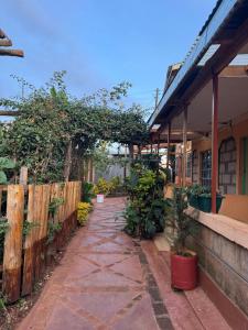 a walkway in front of a house with plants at Ojac Guesthouse in Iten