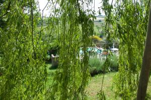 Giardino di Agriturismo QuartoPodere